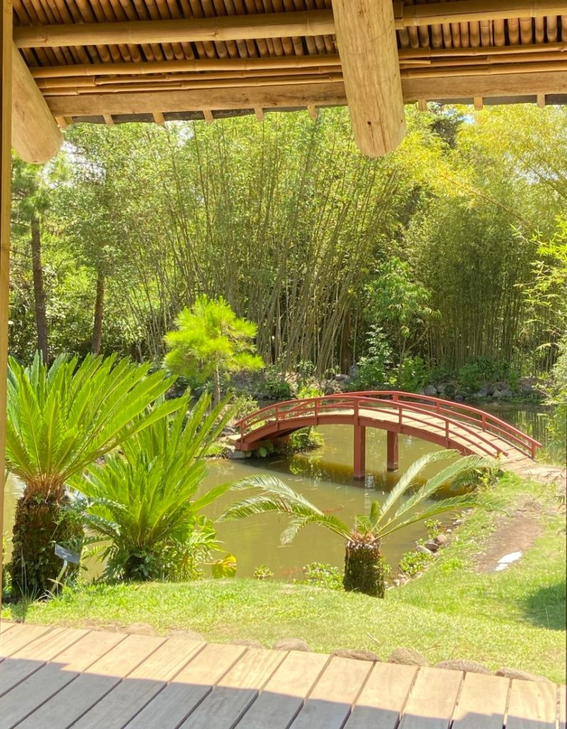 Bridge over pond with bamboo around